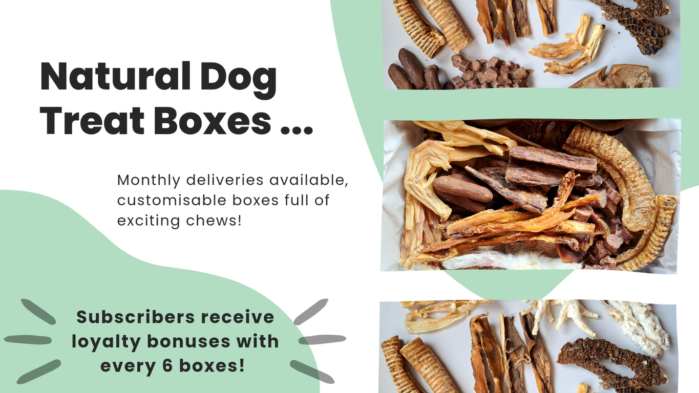 Dog Treat Box